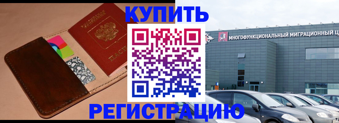 прописка поиск в Тынде